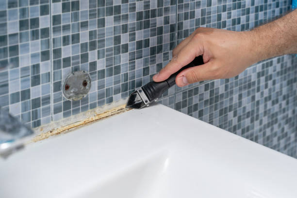 Certified Mold Removal in Tahoe Vista, CA