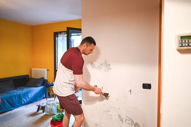 Mold Removal and Inspection in Tahoe Vista, CA